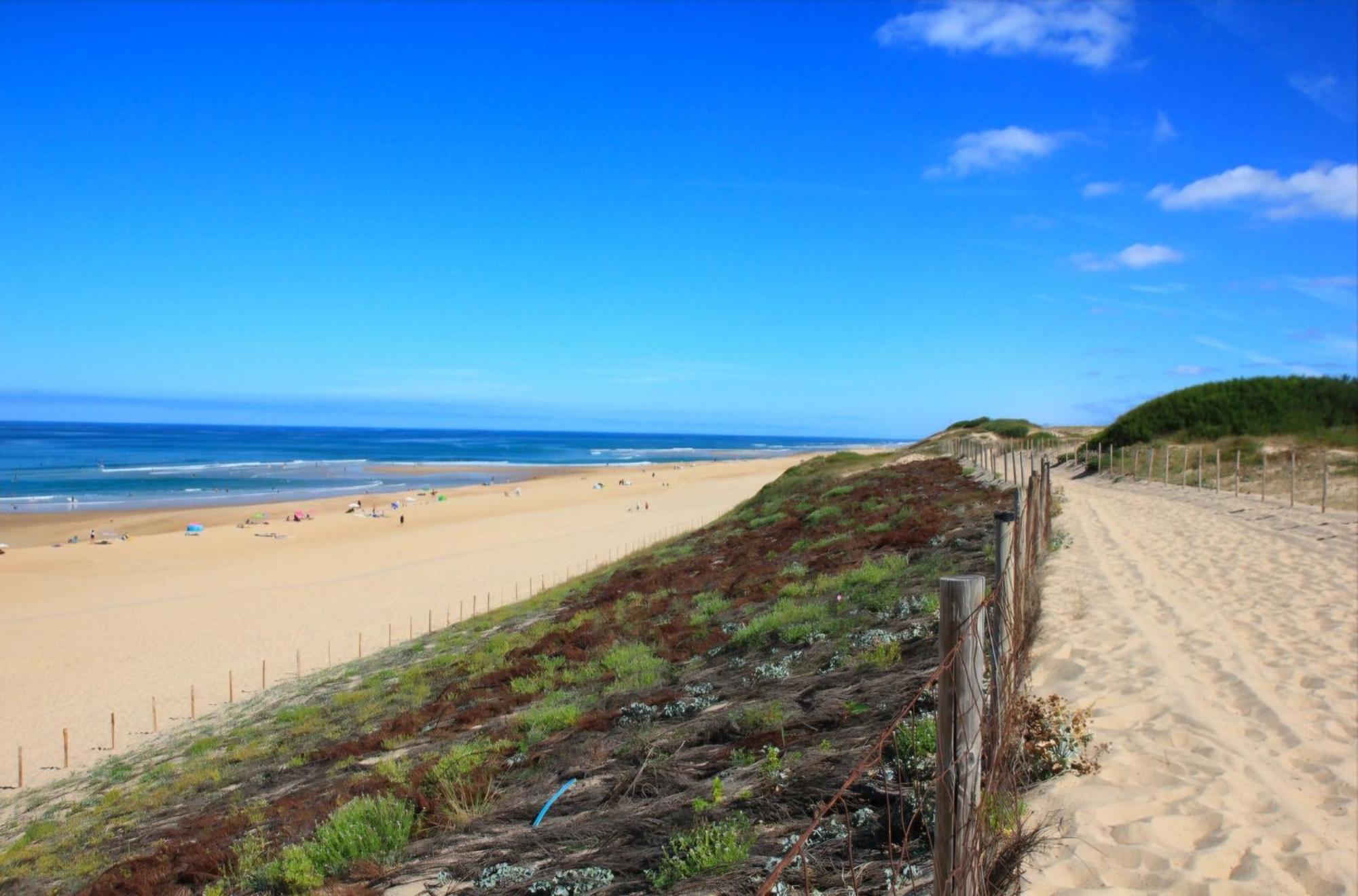 Appartement Avec Terrasse/Bord De Mer/Ideal Surf Seignosse Bagian luar foto